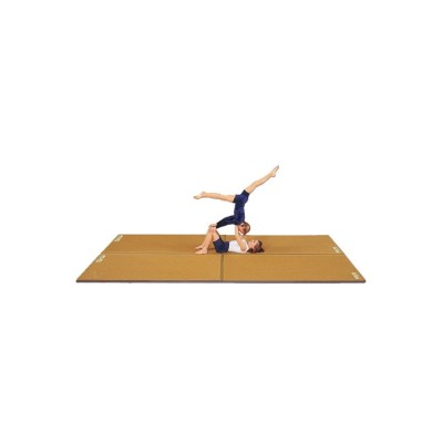 TAPIZ COLCHONETA para gimnasia rítmica artística y  ejercicio  en suelo en general. Medidas: 200x150x3.5cm. Peso 6Kg