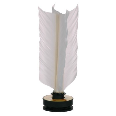 FEATHER FOOTBALL competición.